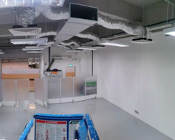 Bulim Lane 2 (D22), Factory #638497541